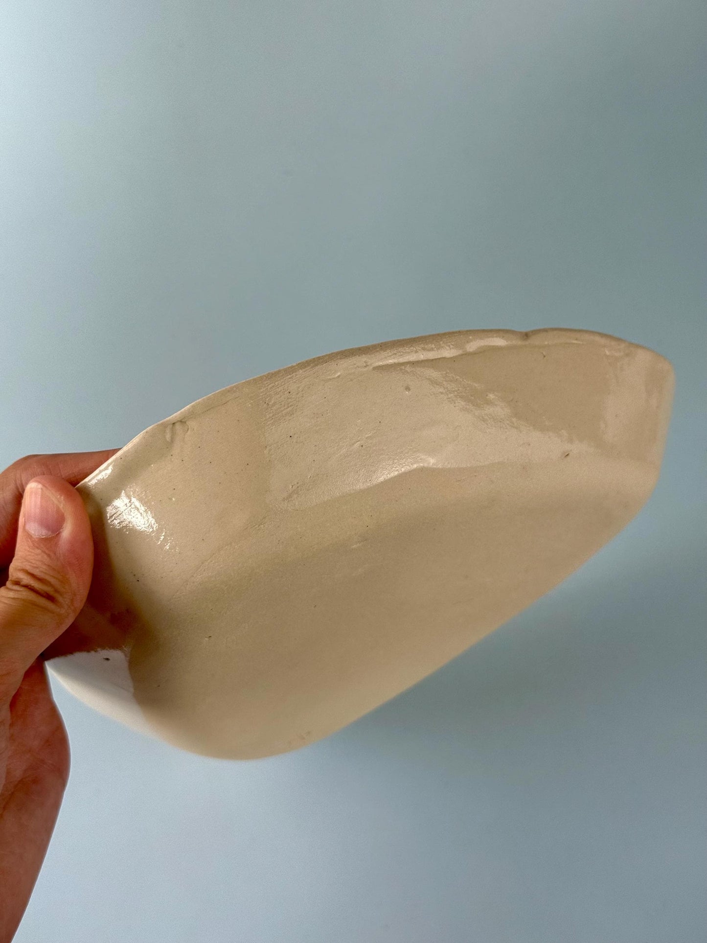Pink Fish Triangle Plate