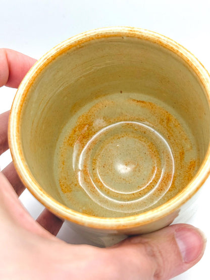 Ammonite Fossil Handmade Small Tumbler Cup