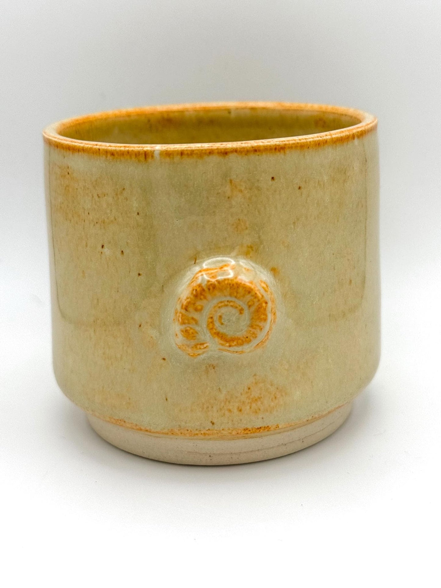 Ammonite Fossil Handmade Small Tumbler Cup