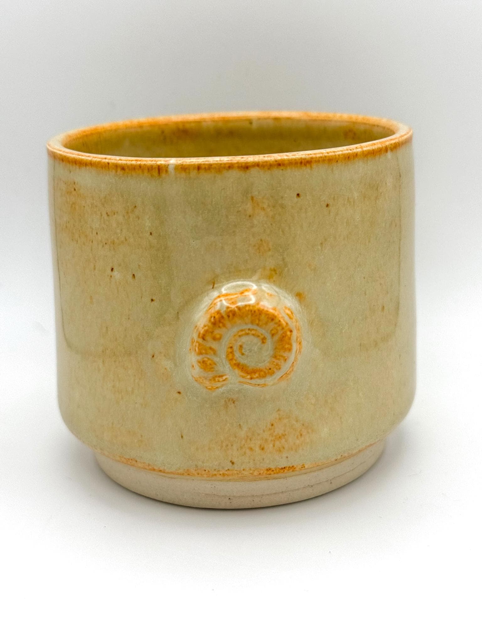 Ammonite Fossil Handmade Small Tumbler Cup