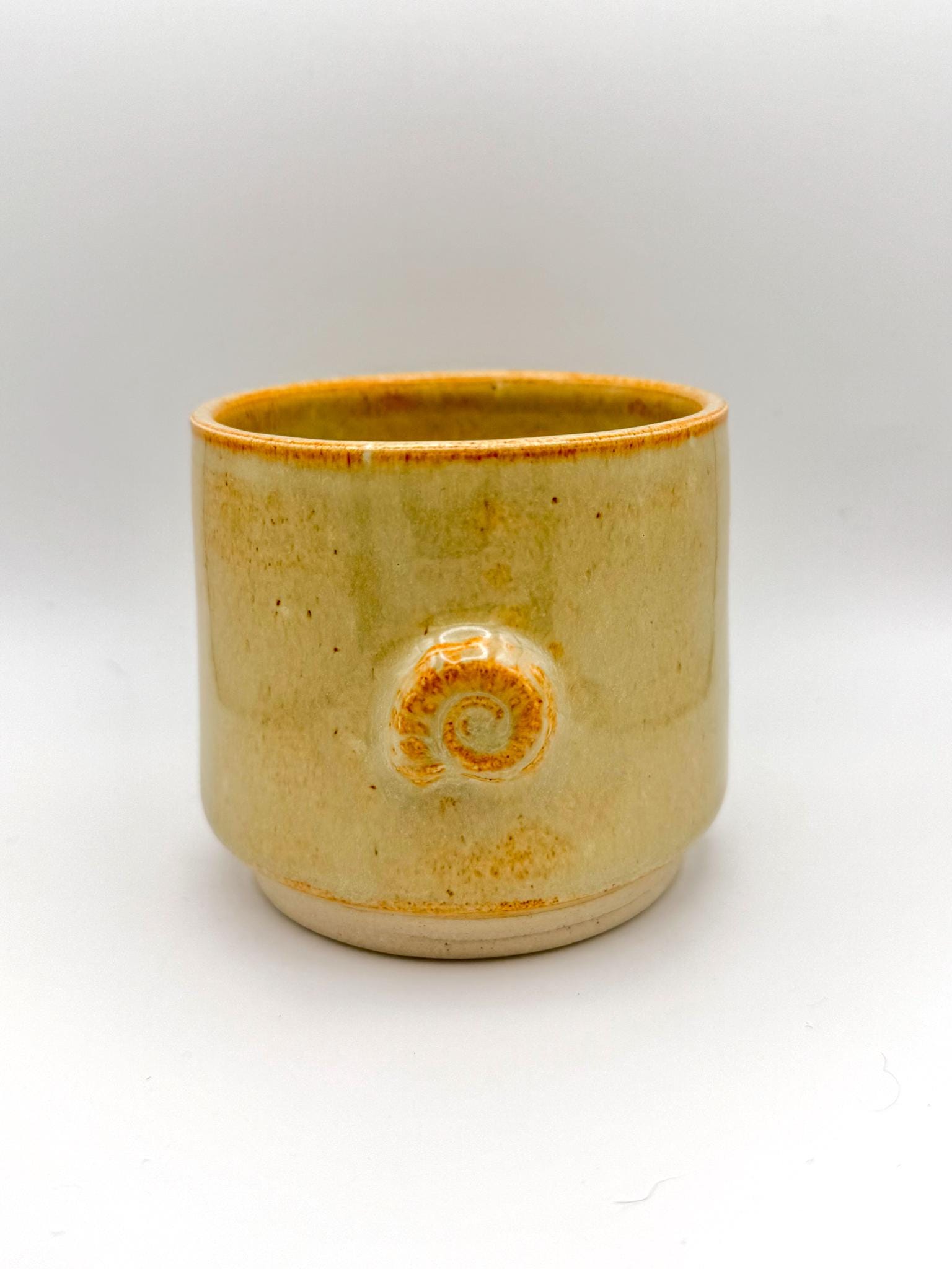 Ammonite Fossil Handmade Small Tumbler Cup
